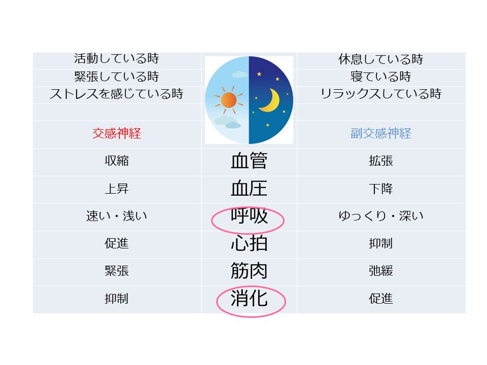 運動しているのに便通が悪いという方へ プライベートサロンvinaka